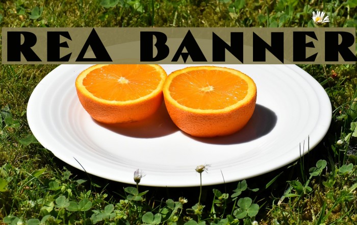 Red Banner Example 2