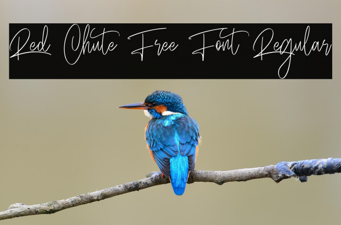 Red Chute Free Font Regular Example 1
