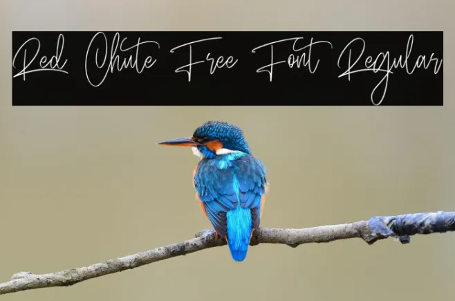 Red Chute Free Font Regular Example 1