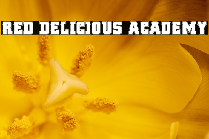 Red Delicious Academy Example 2