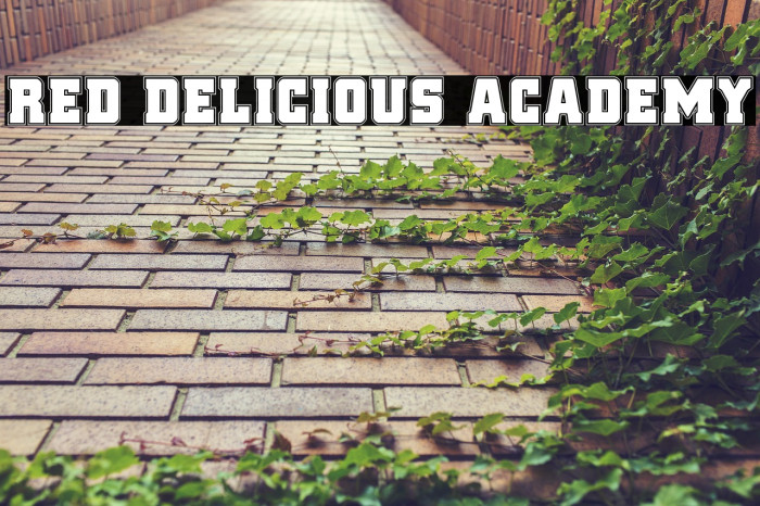 Red Delicious Academy Example 3