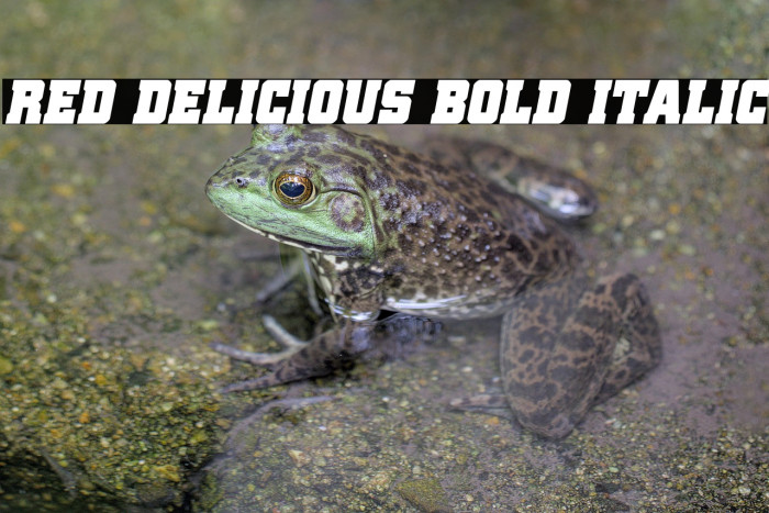 Red Delicious Bold Italic Example 3