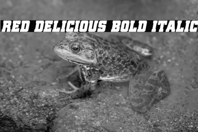 Red Delicious Bold Italic Font examples