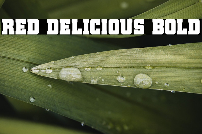 Red Delicious Bold Example 2