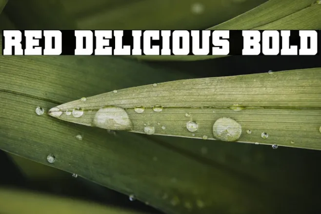 Red Delicious Bold Example 2