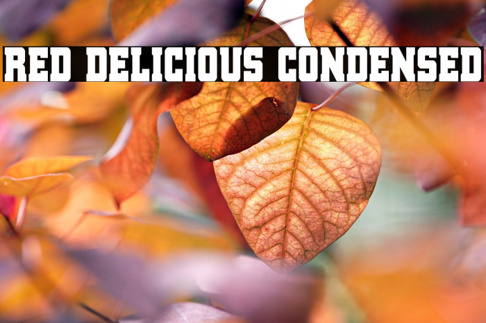 Red Delicious Condensed Example 1