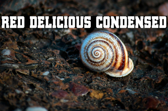 Red Delicious Condensed Example 3