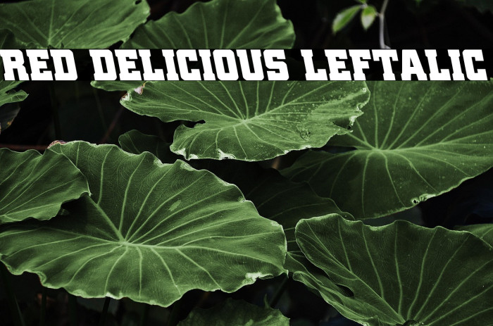 Red Delicious Leftalic Example 2