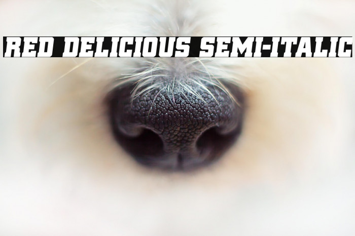 Red Delicious Semi-Italic Example 2