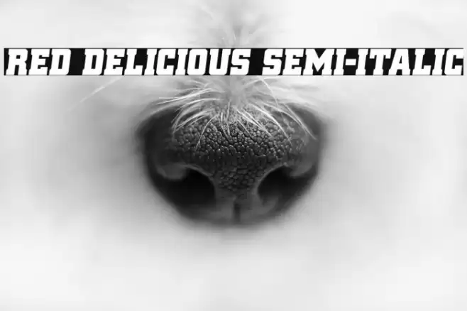 Red Delicious Semi-Italic Font examples