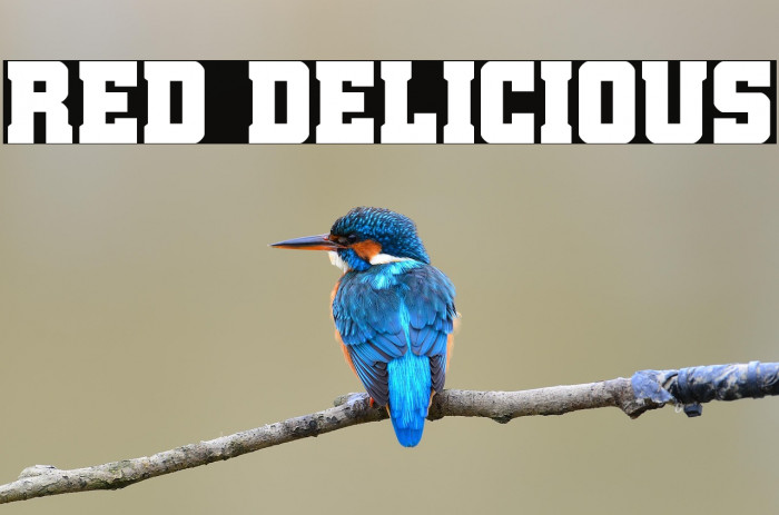 Red Delicious Example 3