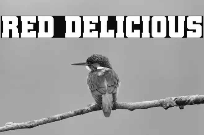 Red Delicious Font examples