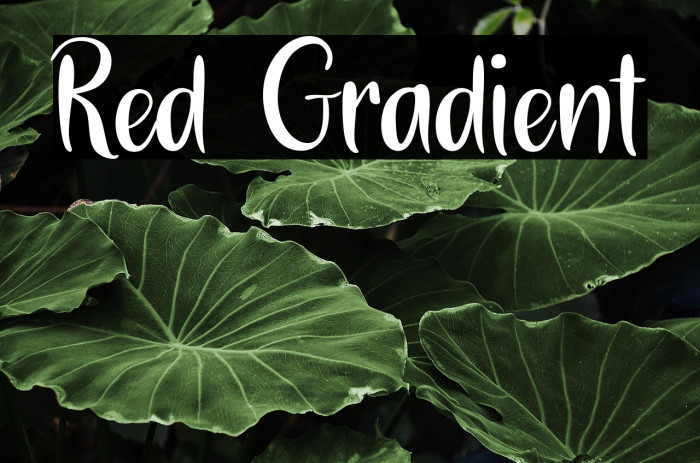 Red Gradient Example 3