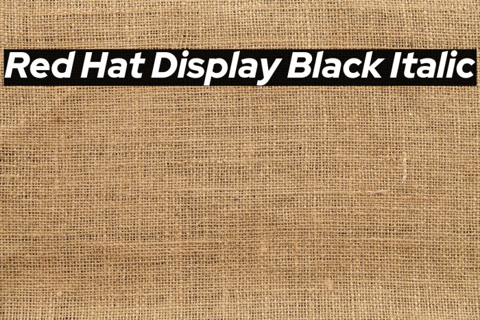 Red Hat Display Black Italic Example 3