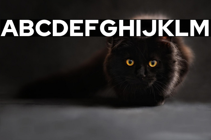 Red Hat Display Black Example 2