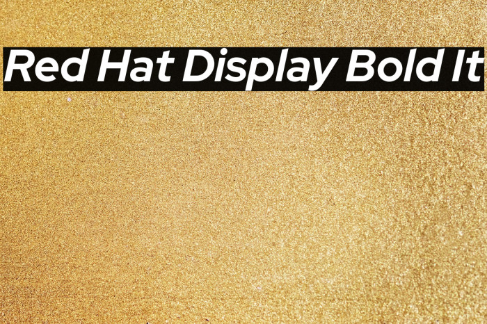 Red Hat Display Bold It Font examples