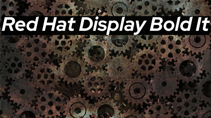 Red Hat Display Bold It Font examples