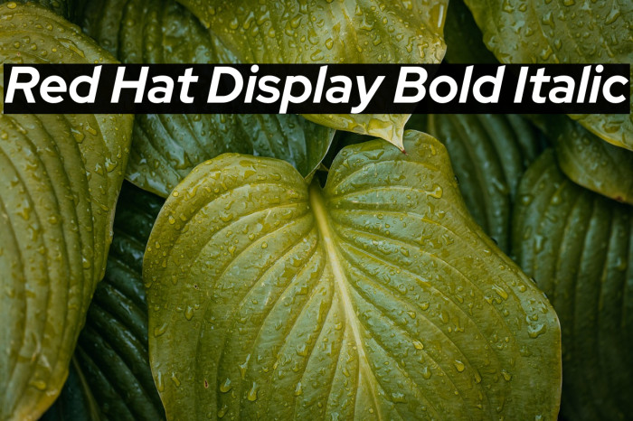 Red Hat Display Bold Italic Example 3