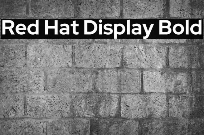 Red Hat Display Bold Font examples