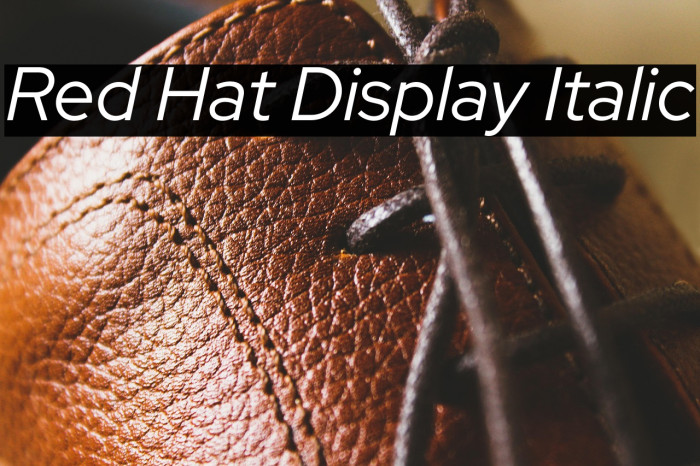 Red Hat Display Italic Example 2