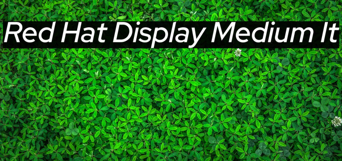 Red Hat Display Medium It Font examples