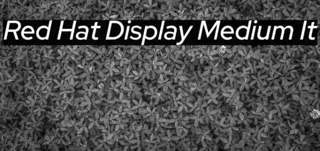 Red Hat Display Medium It Font examples