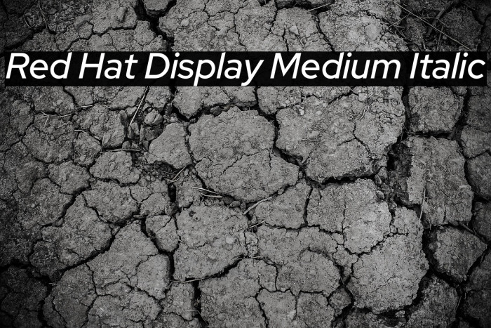 Red Hat Display Medium Italic Example 2
