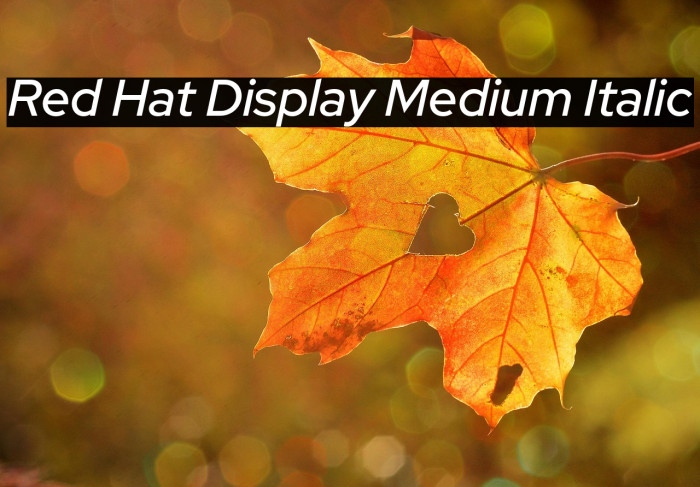 Red Hat Display Medium Italic Example 3