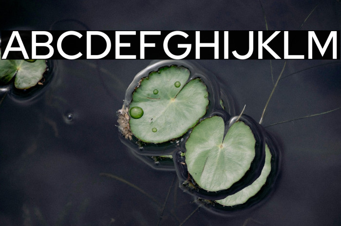 Red Hat Display Medium Example 2