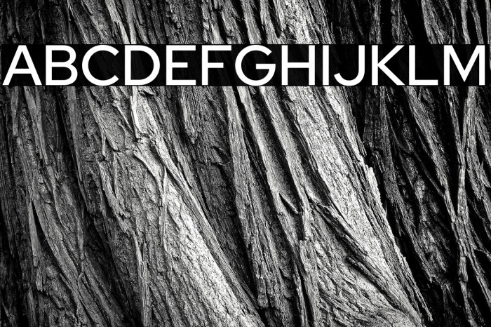 Red Hat Display Medium Example 3