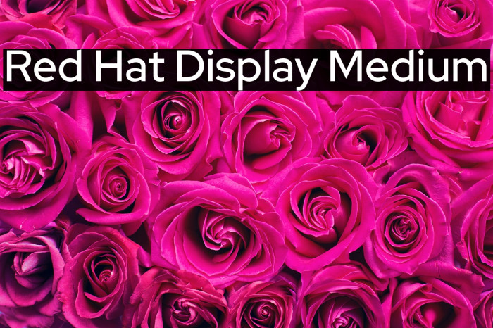 Red Hat Display Medium Font examples