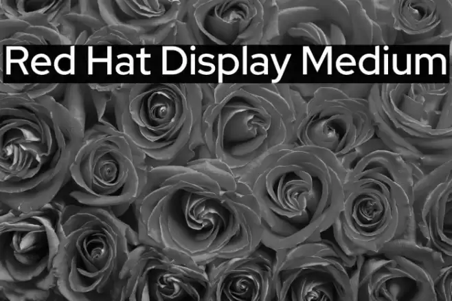 Red Hat Display Medium Font examples