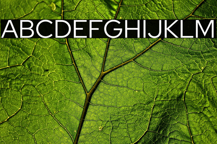 Red Hat Display Example 2