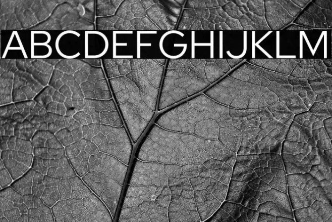 Red Hat Display Font examples