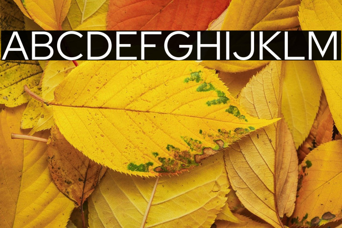 Red Hat Display Example 3