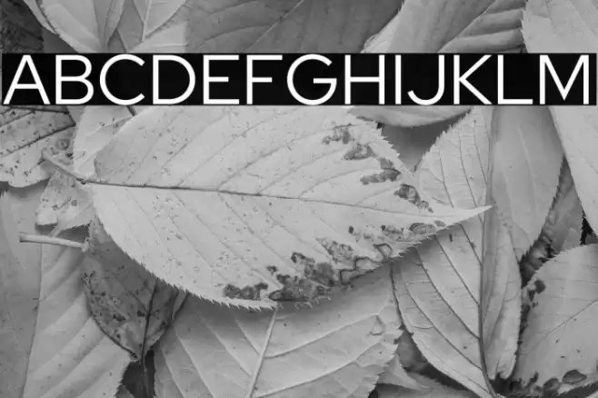 Red Hat Display Font examples