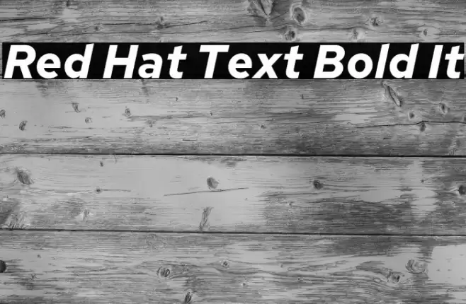 Red Hat Text Bold It Font examples