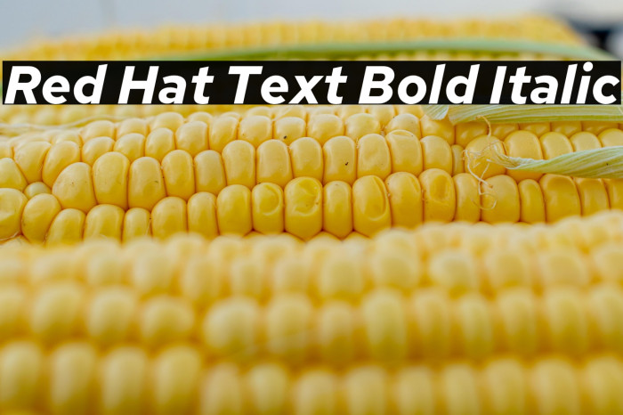 Red Hat Text Bold Italic Example 3