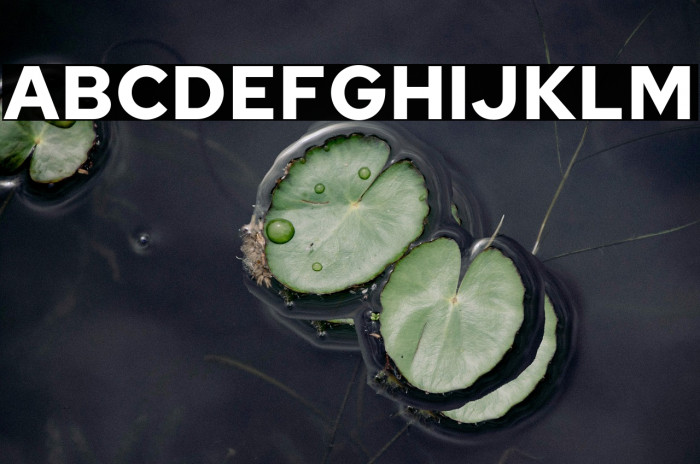 Red Hat Text Bold Example 3