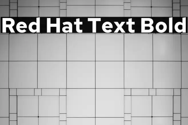 Red Hat Text Bold Font examples