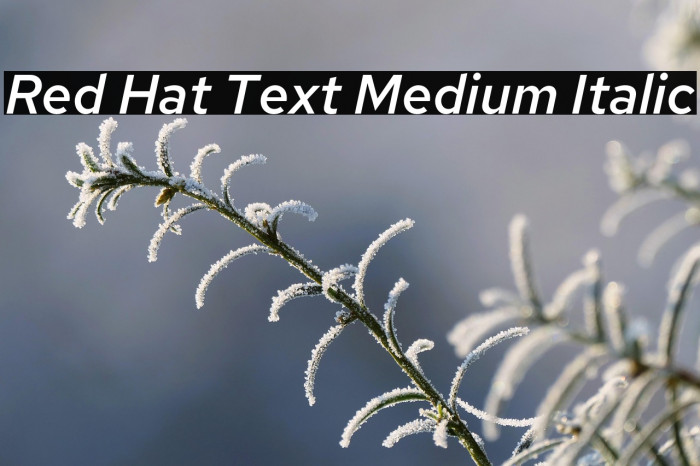 Red Hat Text Medium Italic Example 2