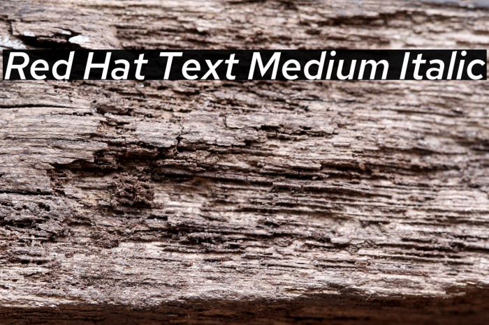 Red Hat Text Medium Italic Example 3