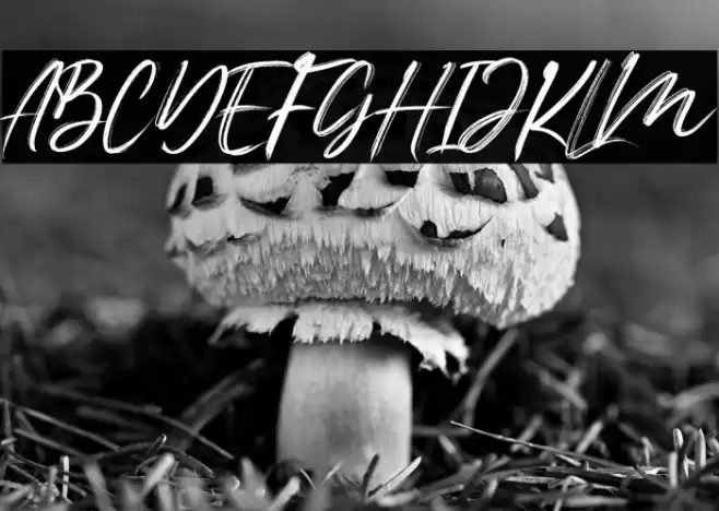 Red Joo Font examples