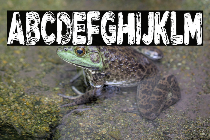 Red Lamp Pub Example 1