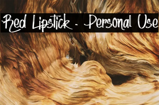 Red Lipstick - Personal Use Example 2