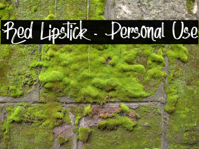 Red Lipstick - Personal Use Font examples