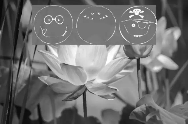 Red Nose Day Medium Font examples