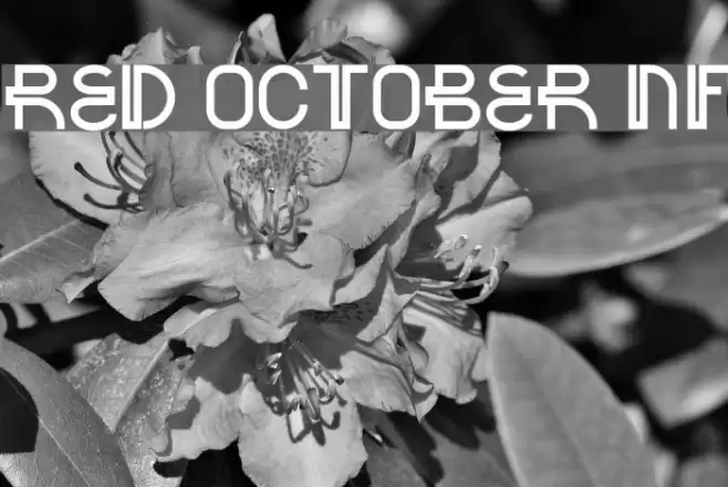 Red October NF Fonte examples