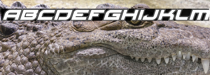 Red Rocket Academy Italic Example 3