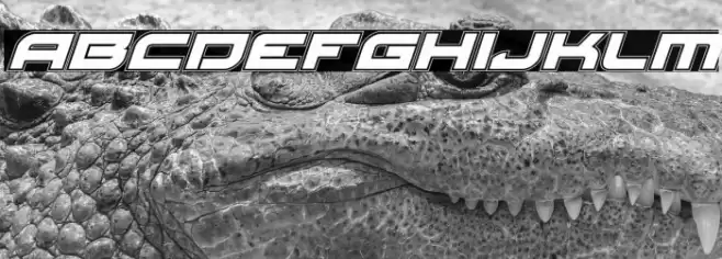 Red Rocket Academy Italic Font examples